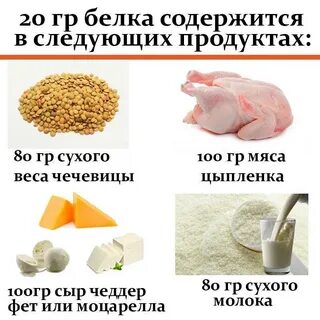 Грибы богатые белком