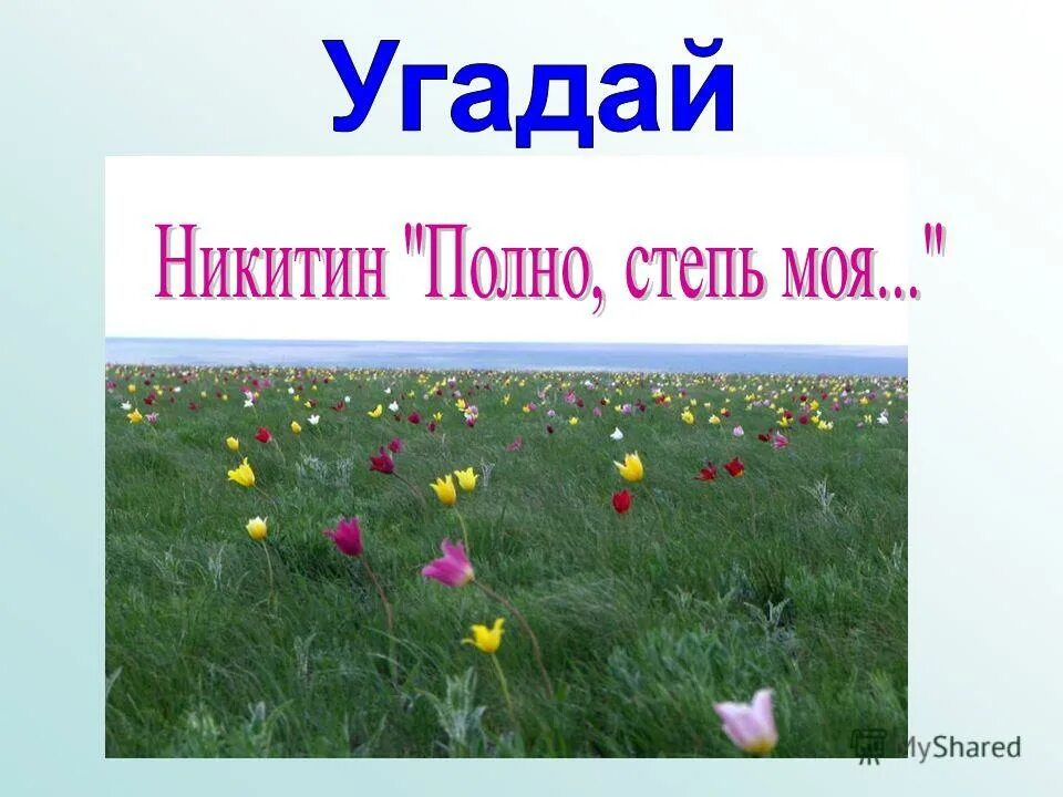 Ивана Саввича Никитина «полно, степь моя, спать беспробудно…». Никитин полно степь. Полно степь моя спать беспробудно.