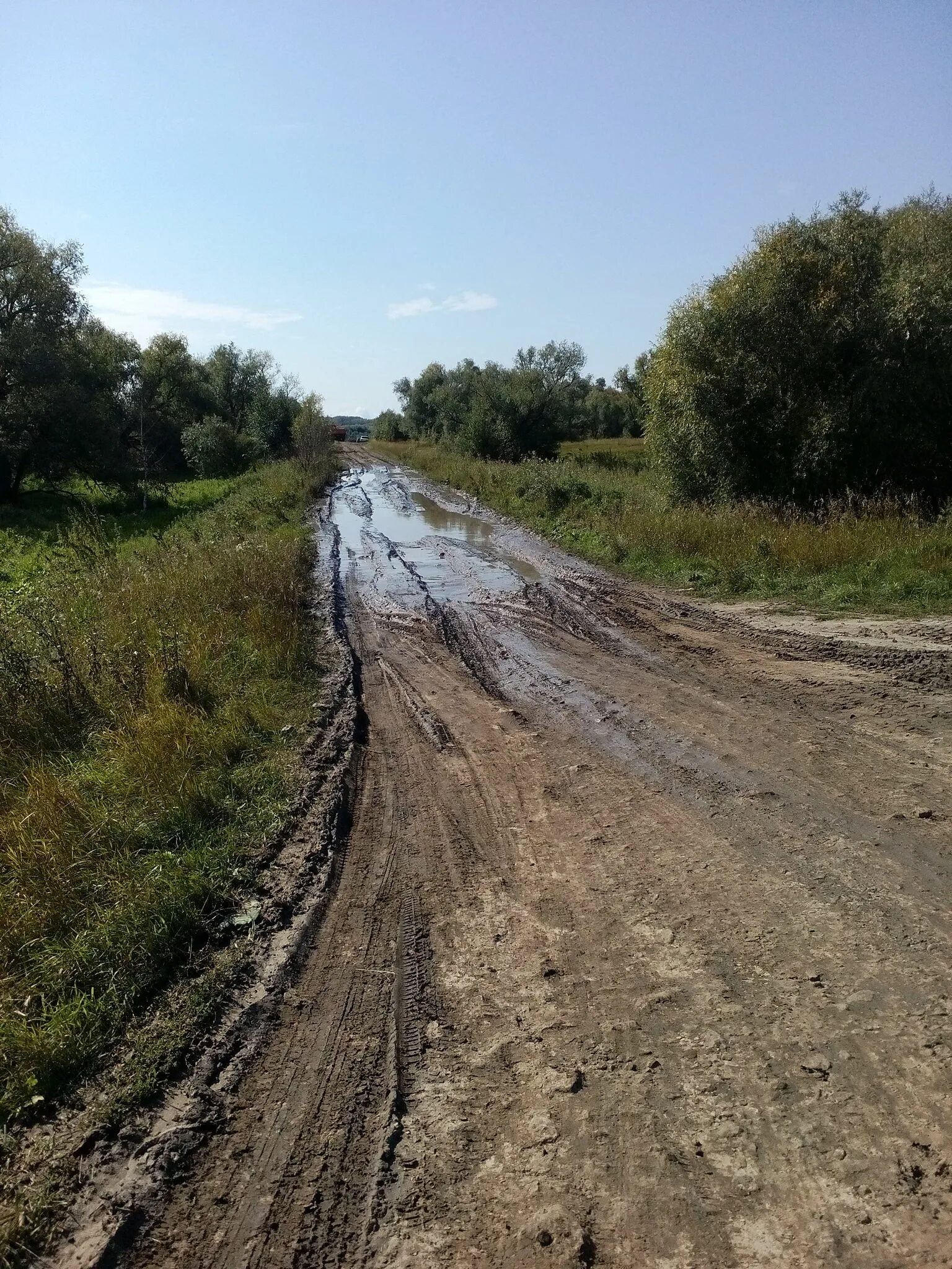 Карбыза омская область. Погода карбыза омская область омский муромцевский. С низовое муромцевского р-на омской обл. Погода карбыза омская область омский муромцевский. Погода карбыза омская область омский муромцевский.