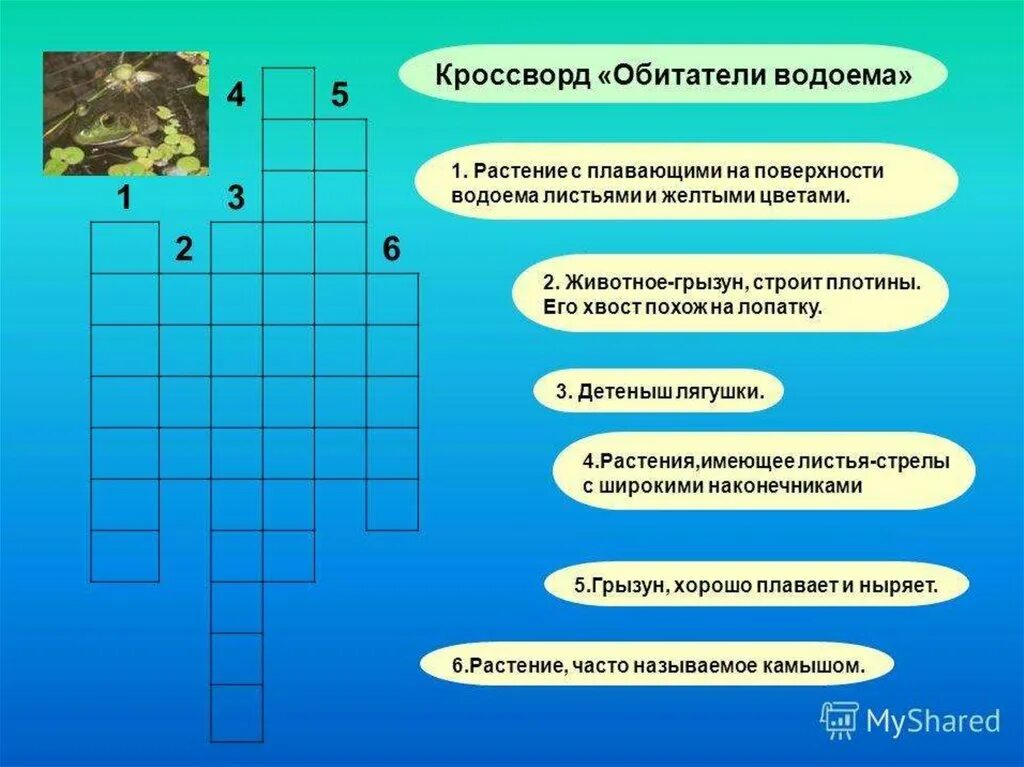 Кроссворд на тему растительные сообщества