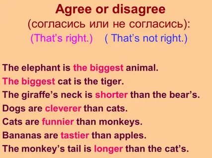 Shorter than