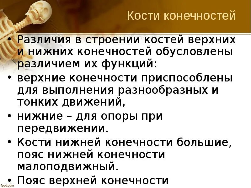 Сравнение нижних и верхних конечностей сходства. О чем свидетельствует сходство костей конечностей. Чем обусловлены различия двигательных возможностей мужчин и женщин. Различие падения и обусловлено