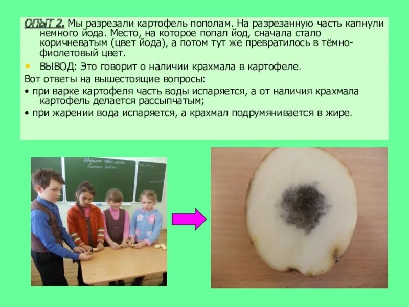 Есть ли крахмал в картофеле - CoffeePapa.ru