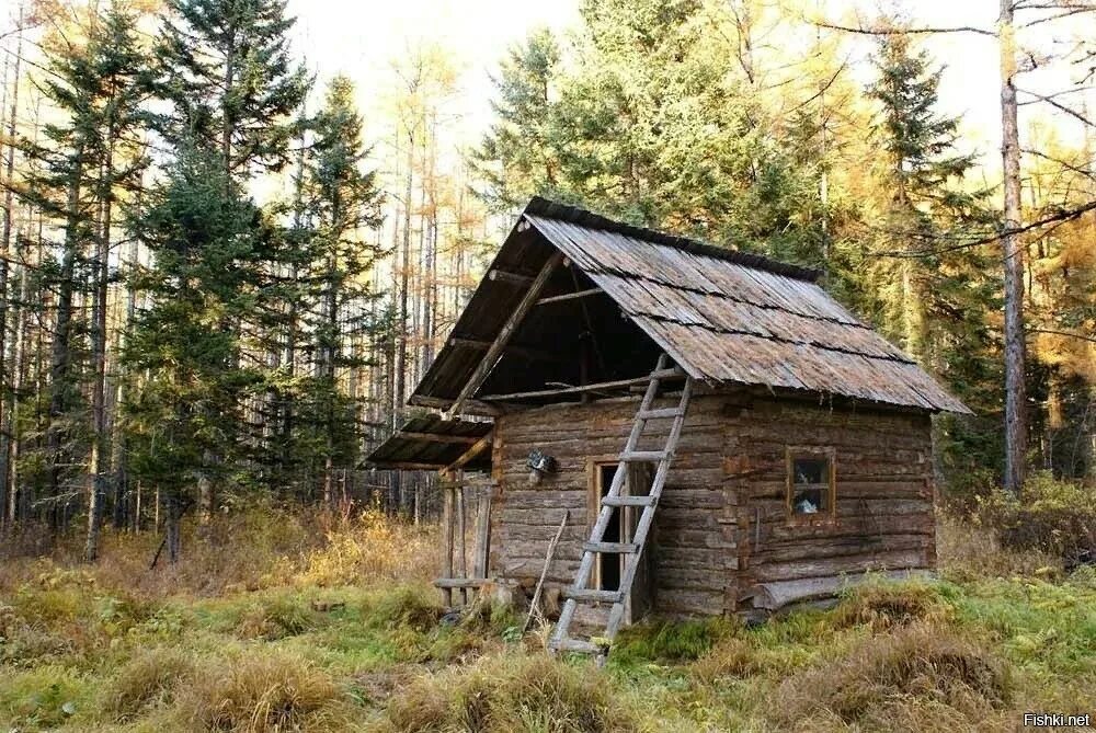 Лесная Хижина в тайге. Сибирь Тайга глухомань. Таежная Заимка охотников. Отшельники в тайге.