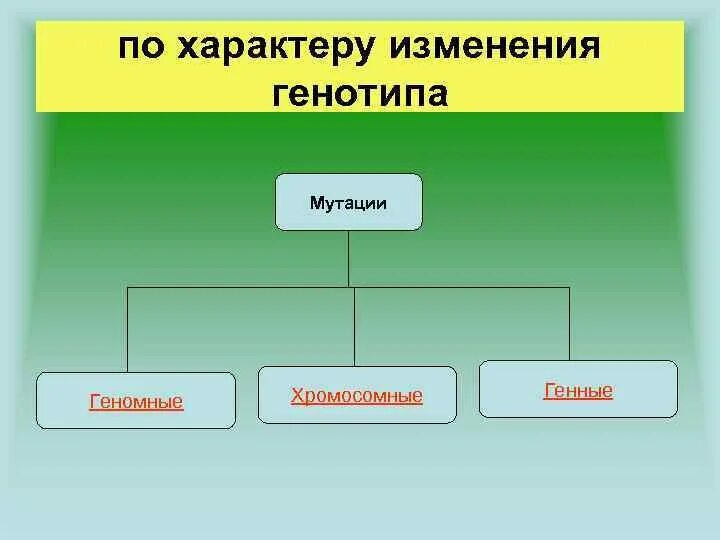 Выбери все примеры генотипа Выбери гаметы, которые образует организм с генотипом (фото) (если кроссинговер п