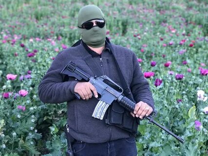 Картель синалоа