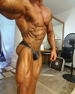 The best of muscle addicts inc 2016.