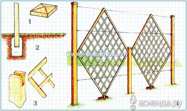 Top 10 шпалеры ideas and inspiration