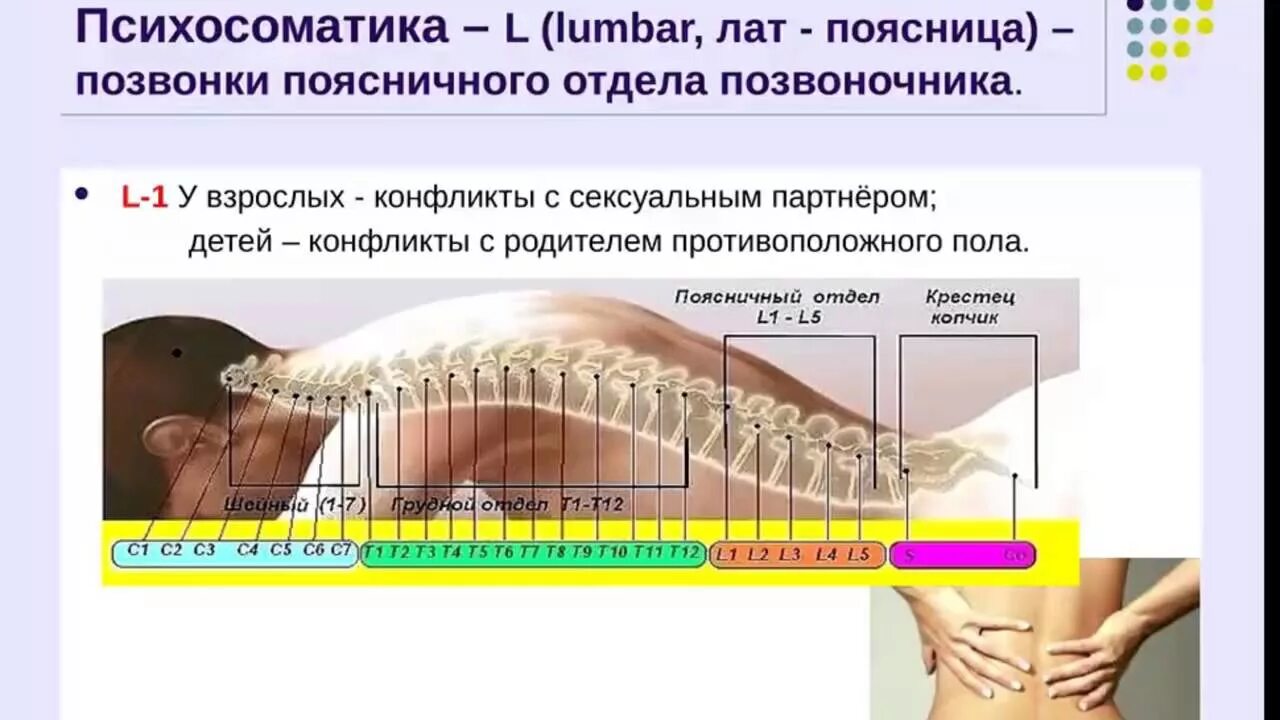 Психосоматика болезней грыжа в позвоночнике поясничный отдел. Боль в спине психосоматика. Позвонки психосоматика. Боль в пояснице психосоматика.