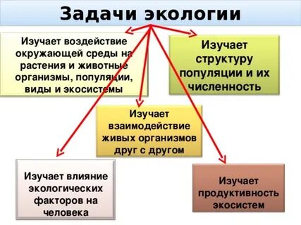 Окружающая среда какое задание