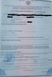 Карантинный сертификат это profilogistik