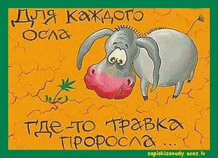 Всемирный день осла