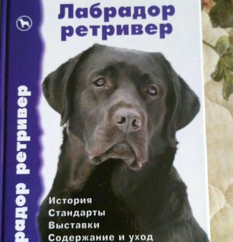 Лабрадор уход и содержание. Книги про лабрадоров. книга лабрадор ретривер. книга дрессировка лабрадора. стандарт лабрадора ретривера.
