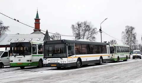 Автобус 144 плесково