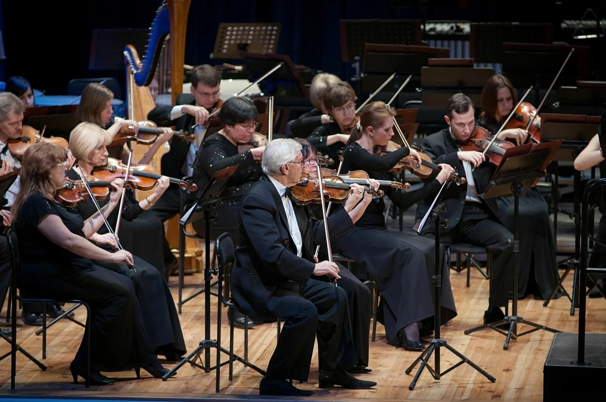 С амура музыкальная группа благовещенск. Дирижеры новосибирского симфонического оркестра. Государственный академический симфонический оркестр россии. Играющий оркестр. Международный оркестр.