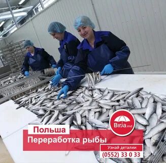 Работа рыбное вакансии