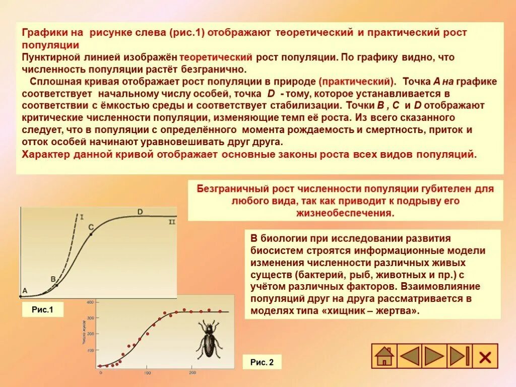 Численность особей равна. Непрерывный рост популяции график. Динамика роста численности популяции. Кривая роста популяции. Рост численности популяции.