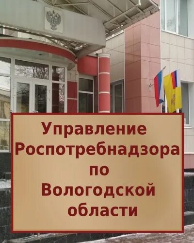 Роспотребнадзор по вологодской. Роспотребнадзор вологда. управление роспотребнадзора по вологодской области. роспотребнадзор вологда руководитель. роспотребнадзор вологда официальный сайт.