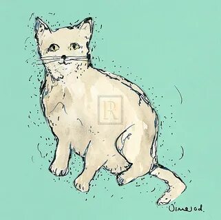 Kitty tale