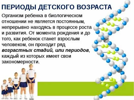 Детский период в жизни человека