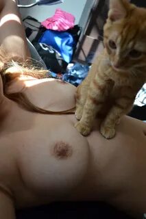yourwetdreams: Reminds me of indifferent-cats-in-amateur-porn Indifferent k...