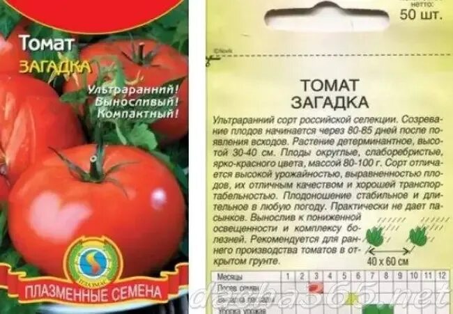 Томат ультраранний низкорослый. Томат загадка ультраранний. Семена помидор для теплицы низкорослые. Ультраранние томаты для теплицы.