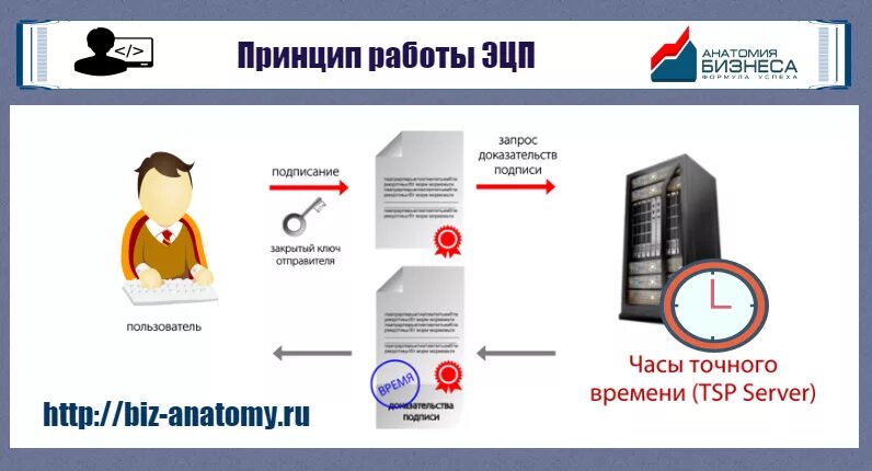 Принцип работы ЭЦП. Принцип работы электронной цифровой подписи. Электронная подпись схема. Схема работы ЭЦП.