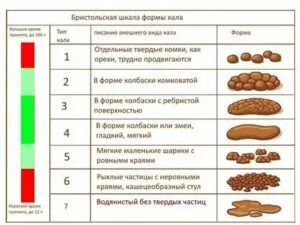 Жидкий стул у взрослого длительное время