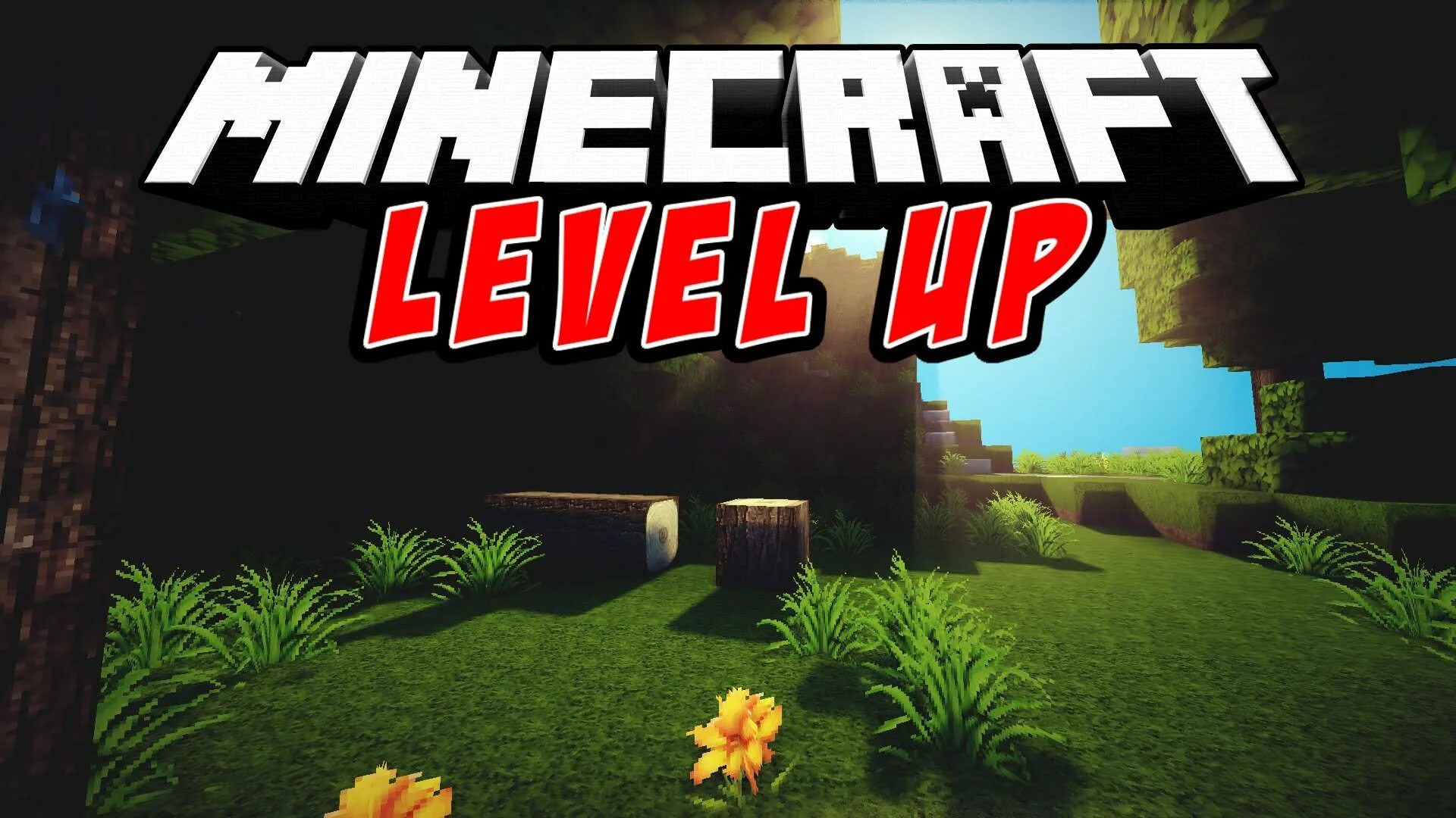 Левел ап майнкрафт. Мод Level up. Майнкрафт Легаси. Level 1 в майнкрафт.