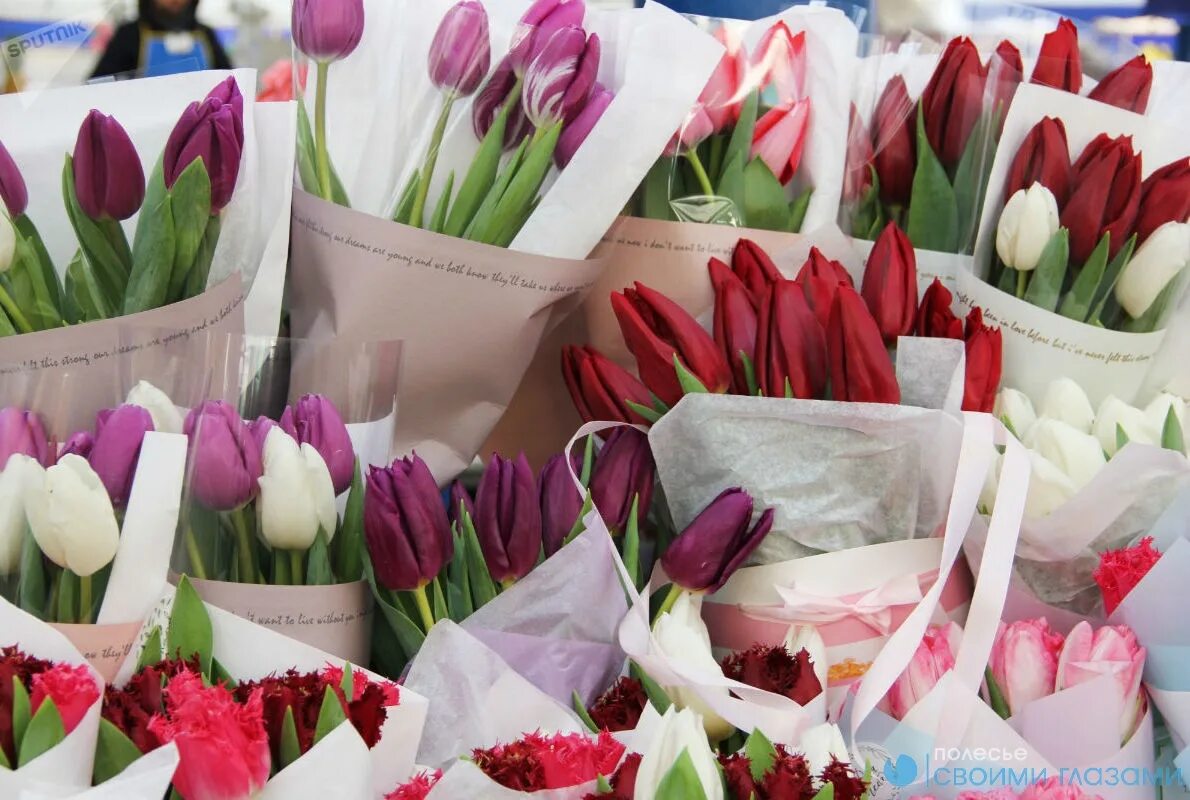 Сколько продают тюльпаны. Тюльпаны на рынке. продам тюльпаны. тюльпаны на цветочном рынке. продажа тюльпанов.