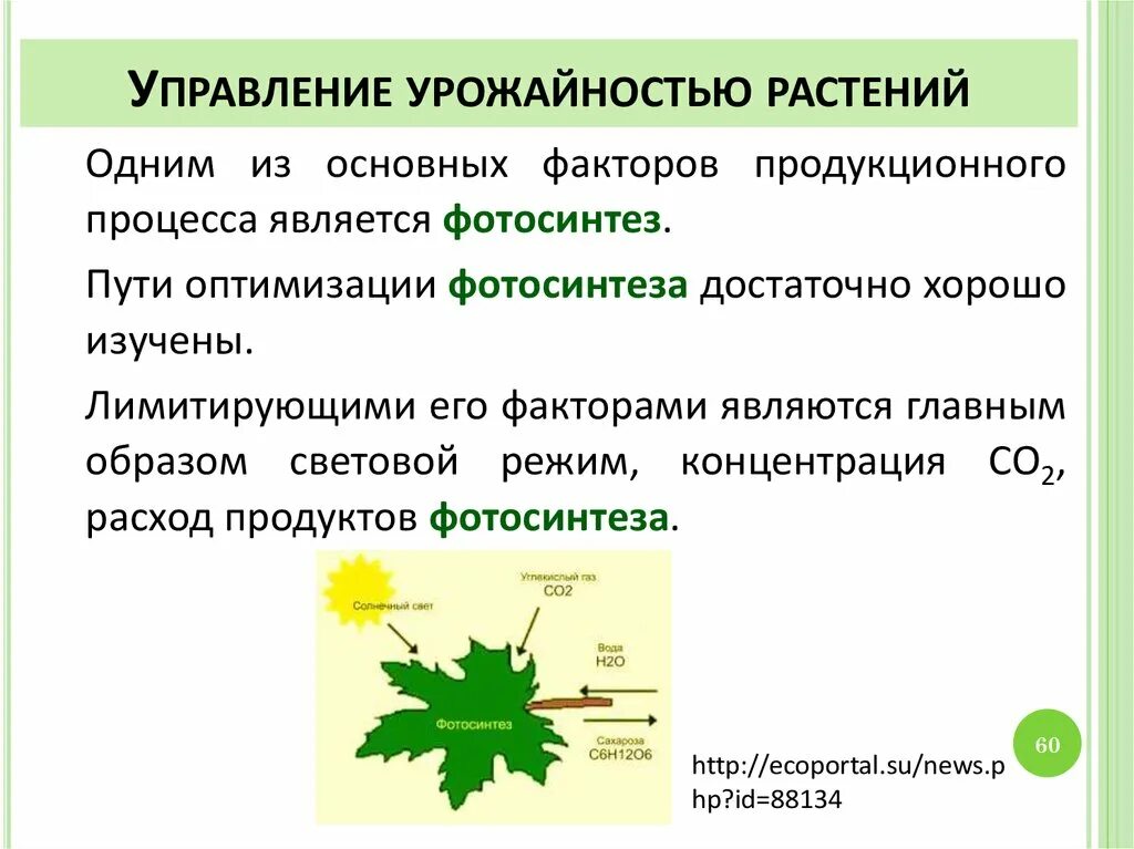 От каких факторов зависит урожайность дикорастущих растений