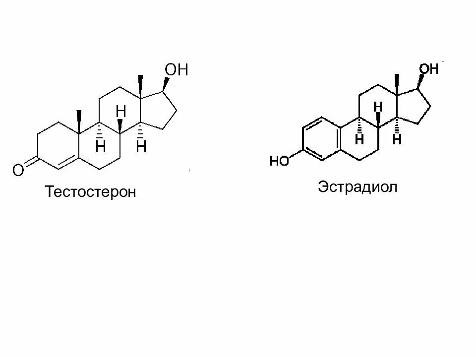 Формы тестостерона. Виды спортивного питания бустеры тестостерона. Тестостерон побочные эффекты у мужчин. Тестостерон у мужчин. Картинки бустеры тестостерона для спортсменов.