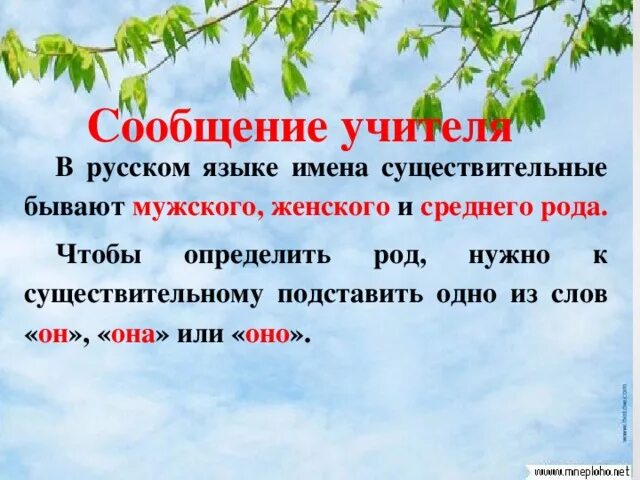 В русском языке имена существительные бывают. Педагог род существительного. Педагог какого рода слово. Учитель какой род.