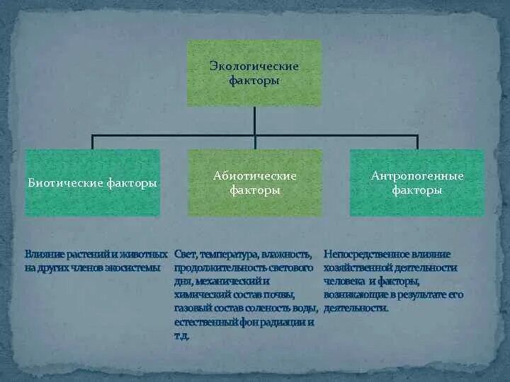 Увеличение продолжительности светового дня фактор