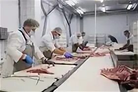 Колбасный цех 2024 фото