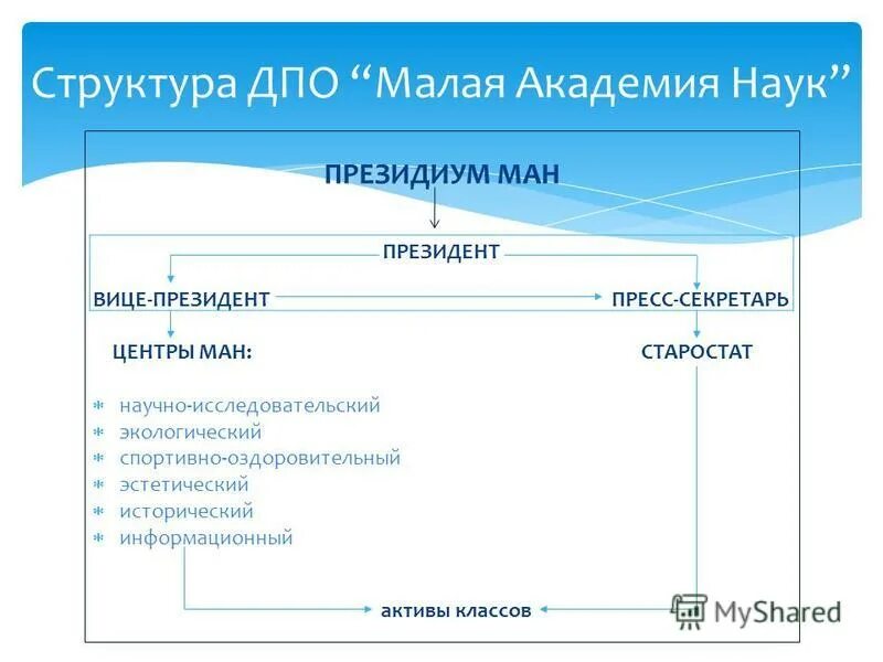Структура автономной некоммерческой организации. Разработка и реализация программ профессионального обучения. Структура дополнительной программы. Структура дополнительной профессиональной. Структура "мбу мцсгмр".