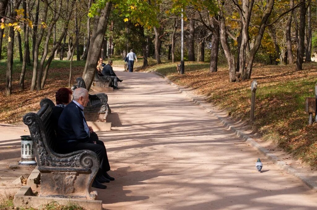 Кисловодск осенью парк аллея. Кисловодск прогулочный сквер. Кисловодский парк скамейки. Прогулка в парке.