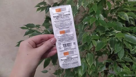 Какие растения поливают янтарной кислотой