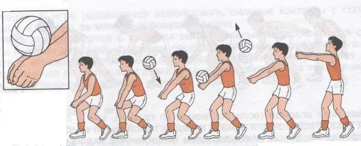 Прием передачи снизу волейбол. Прием и передача мяча двумя руками снизу. Прием мяча снизу двумя руками в волейболе. Прием и передача мяча снизу двумя руками в волейболе. Прием снизу двумя руками в волейболе.