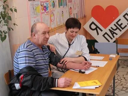 Пачелма контакты