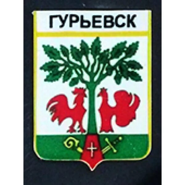 Гурьевск советск. Герб города Гурьевска Калининградской области. Герб города Гурьевска. Герб и флаг Гурьевска Калининградской области. Герб Гурьевского района Калининградской области.