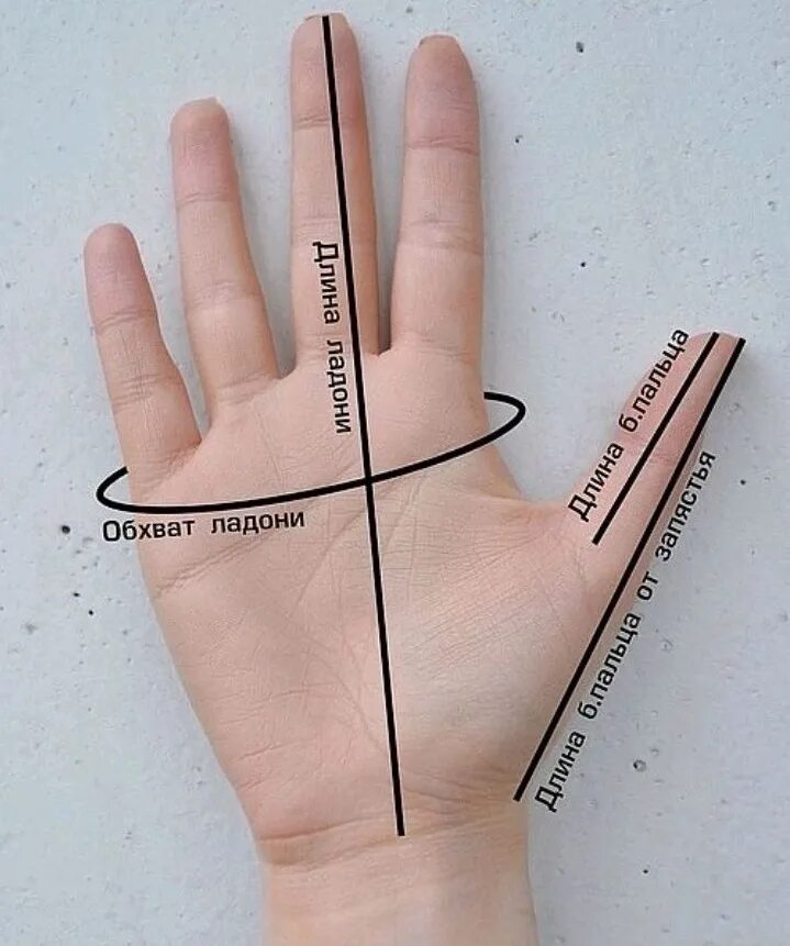 Как измерить руку для перчаток. Мерки для вязания варежек. Измерить руку для варежек. Обхват ладони. Мерки для перчаток.
