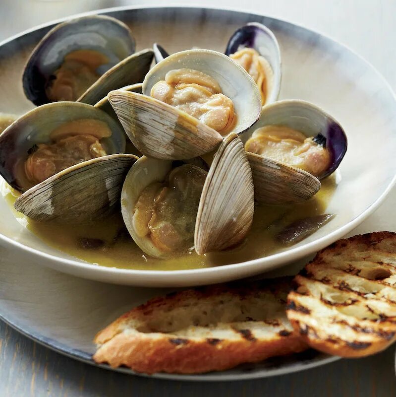 Мидия моллюск. Пища моллюсков. Мидии устрицы жемчужницы. Вонголе альфорно. Пища моллюсков.