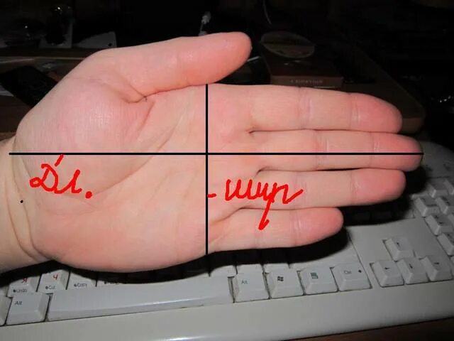 размер кулака. размер кулака как измерить. два кулачка картинки красивые. размеры кулака человека. размеры кулака человека.