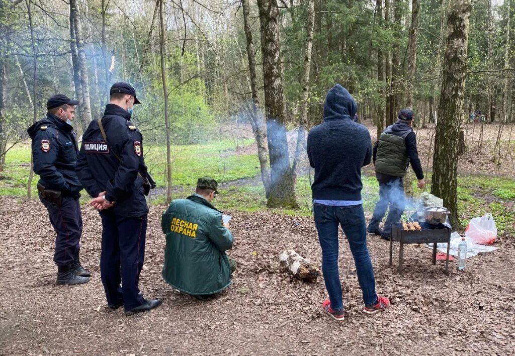 В нарушение требований пункта. Нарушители в лесу. Противопожарная безопасность в лесу. Нарушение правил пожарной безопасности в лесах. Наказание за несоблюдения пожарной безопасности в лесах России.