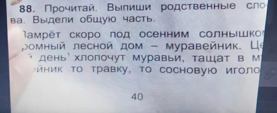 Прочитай родственные слова. Выпиши родственные слова. Выпиши родственные слова. Выдели в них общую часть.. Выпиши родственные слова русский язык - 1 класс.. Прочитайте выпишите родственные слова выделите корень.