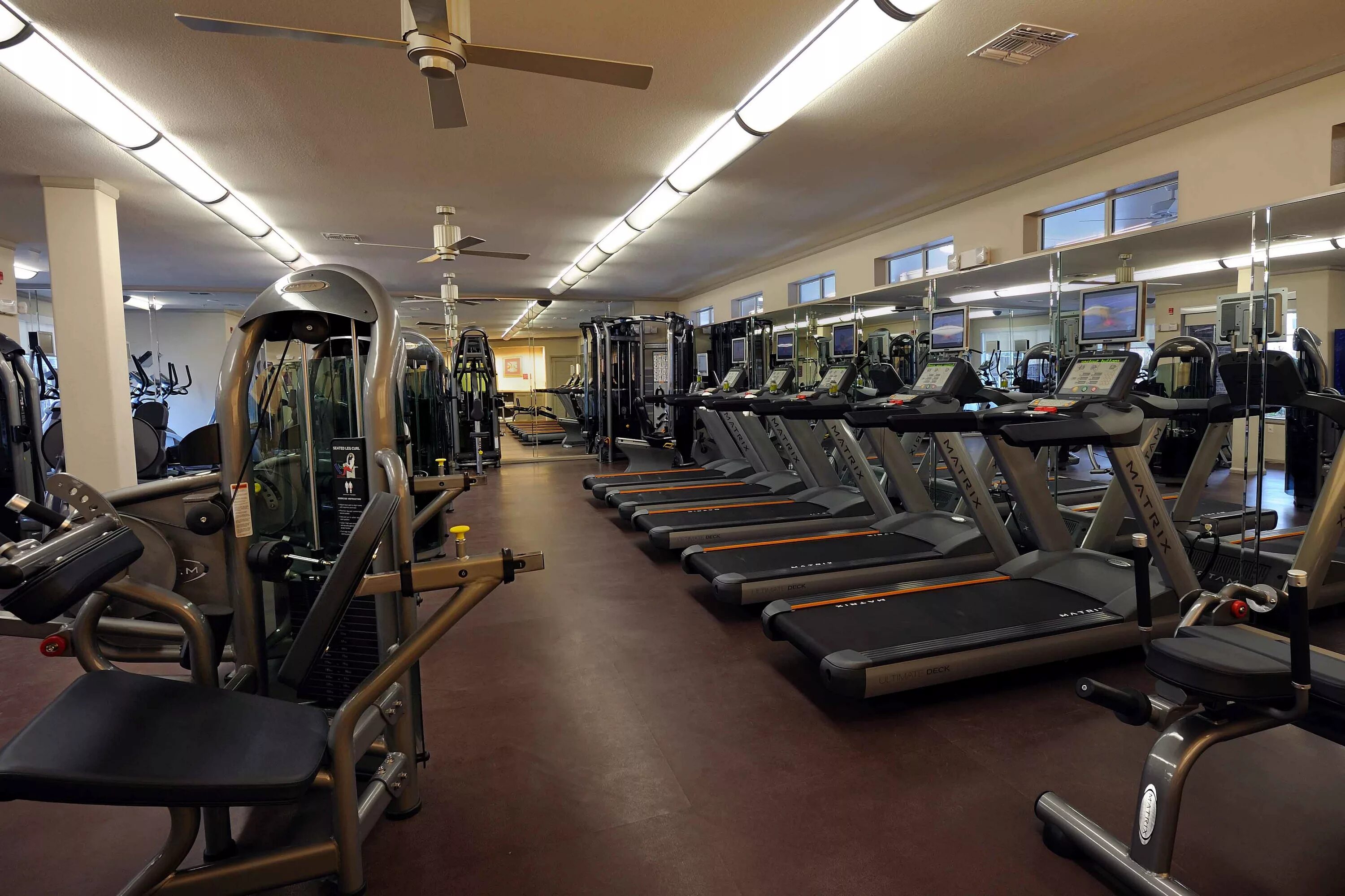 Фитнес клуб гранд спорт ереван. Фитнес круиз. Гольфстрим высокая гора. Дону в спортзале. Фитнес центр гора самара.