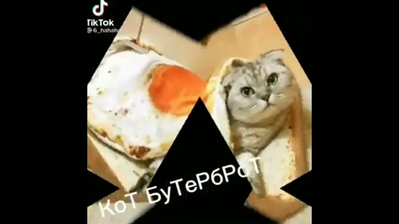 Мышка сосиска кот бутерброд авокадо бегемот. Кот бутерброд мем. киска мышка ириска кот бутерброд доведёт.