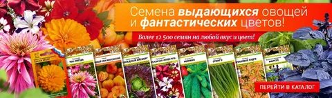 Русский огород интернет магазин каталог 2023 семена