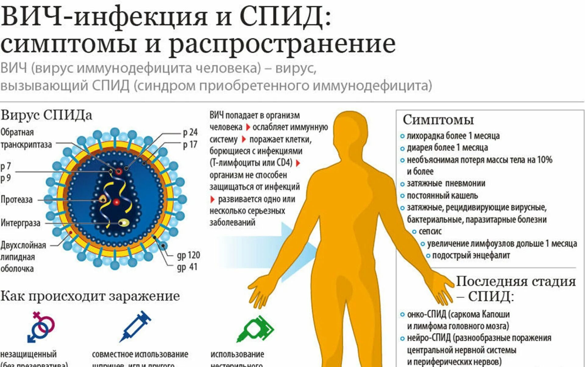 Симптомы СПИДА ВИЧ инфекции. ВИЧ инфекция и СПИД симптомы и распространение. ВИЧ-инфекция и синдром приобретенного иммунодефицита.